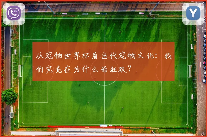 从宠物世界杯看当代宠物文化：我们究竟在为什么而狂欢？
