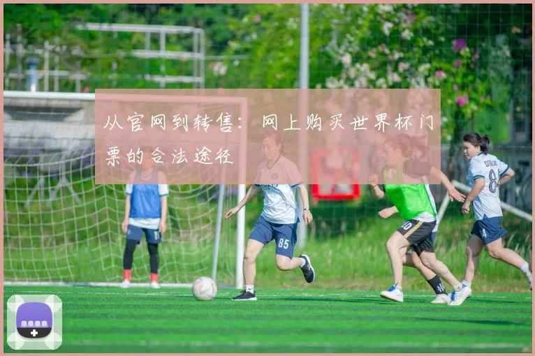 从官网到转售：网上购买世界杯门票的合法途径